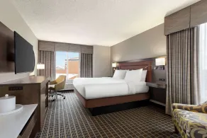 Hampton Inn & Suites Greenville-Downtown-RiverPlace - Chambre