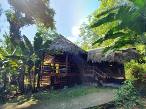 Cariblue Beach and Jungle Resort - Room