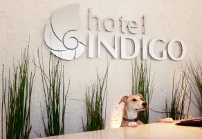 Hotel Indigo San Diego - Gaslamp Quarter by IHG - Réception