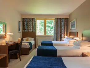 Ballyroe Lodge - Chambre