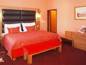 EA Hotel Sonata - Room