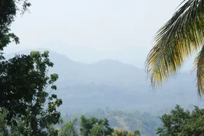 Anura Guest Inn - Vista do quarto