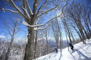 Yakehashiri Cabin Village - Esportes de neve e esqui