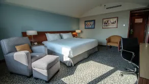 Courtyard by Marriott Mexico City Revolucion - Room