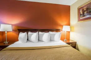 Quality Inn Gaffney I-85 - Chambre