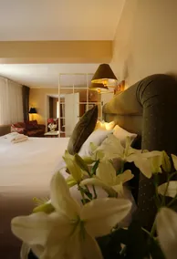 Suites del Bosque Hotel - Room
