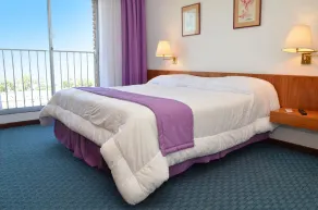 El Mirador Hotel & Spa - Room