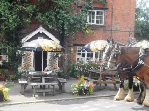 The Pear Tree - Image 1