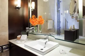 Holiday Inn Singapore Orchard City Centre by IHG - Baño