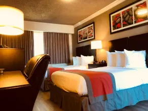 The Lexmar - Dodger Stadium Hollywood - Chambre