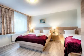 Hotel Friesland - Room