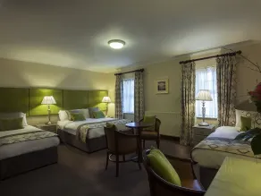 Breffni Arms Hotel - Room