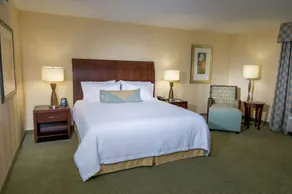 Hilton Garden Inn Mount Holly/Westampton - Room