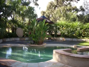 Relaxin - Pool