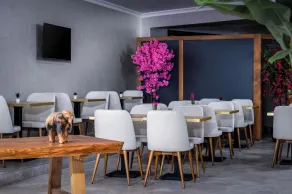 sh hotel business - Restaurant