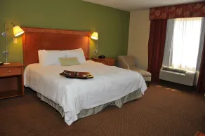 Hampton Inn Clinton - Habitación