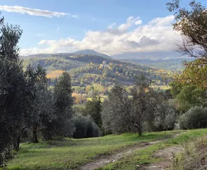 Palazzolo Resort - Anghiari - Piscine