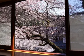 Kyo no Minshuku Ohara no Sato - View from room