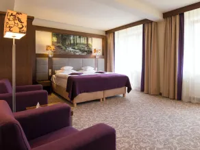Hotel Mercure Krynica Zdrój Resort&Spa - Rum