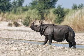 Kings jungle safari & Culture home stay - Front of property