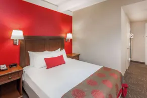 Ramada by Wyndham Hammond Hotel & Conference Center - Chambre