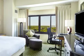 Hilton Orlando Lake Buena Vista - Disney Springs® Area - Chambre