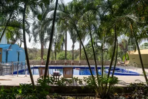 Saavaj Resort, Sasan Gir - Where Wilderness Meets Luxury - Pool