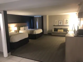 Country Inn & Suites Downtown Convention Center by Radisson, Gatlinburg, TN - Chambre