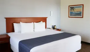 Araiza Palmira Hotel y Centro de Convenciones - Chambre