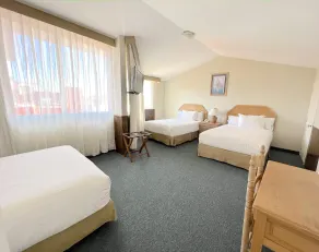 Biohotel Boutique Metepec - Chambre