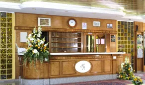 Hotel Ares - Reception