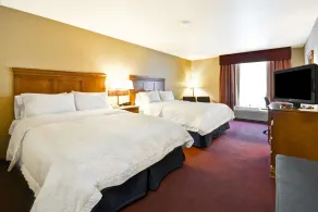 Hampton Inn Bozeman - Chambre