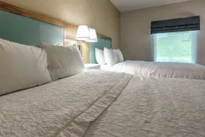 Hampton Inn Batavia - Chambre