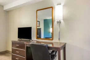 Econo Lodge Inn & Suites Brooks - Louisville South - Room