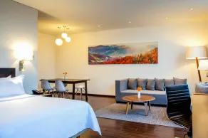 Fiesta Inn Plaza Central Aeropuerto - Room