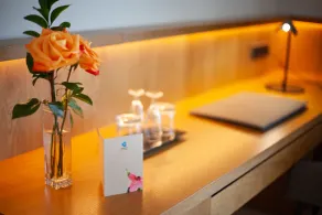 Grupotel Playa de Palma Suites & Spa - Chambre