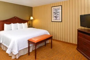 Hampton Inn & Suites Albuquerque-Coors Road - Chambre