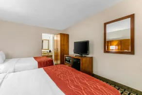Comfort Inn Downtown Nashville - Music City Center - Chambre