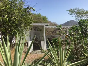 Green Roof Inn - Room