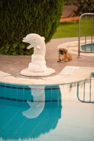 Golden Moon Hotel - Pool