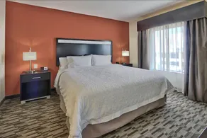 Hampton Inn & Suites Albuquerque North/I-25 - Chambre
