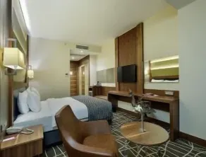 Ramada By Wyndham Elazığ - Rom