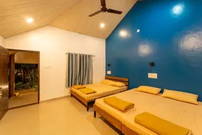Dandeli Jungle Retreat Resort - Rom