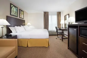 Holiday Inn Express Lexington Southwest Nicholasville by IHG - Room