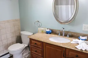 The Janmere Motel - Salle de bain