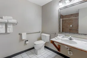 Econo Lodge Longmont East - Salle de bain