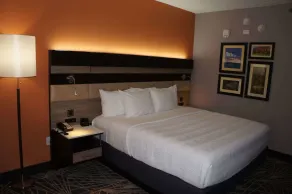 La Quinta by Wyndham Branson - Chambre