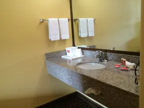 Econo Lodge Easton Route 50 - Salle de bain