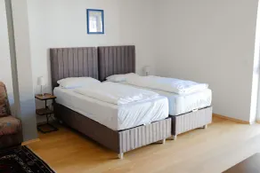 Milchhof Apartments Aschaffenburg - Room