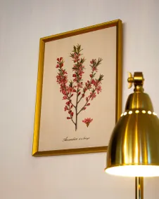 Hotel du Parc - Restaurant